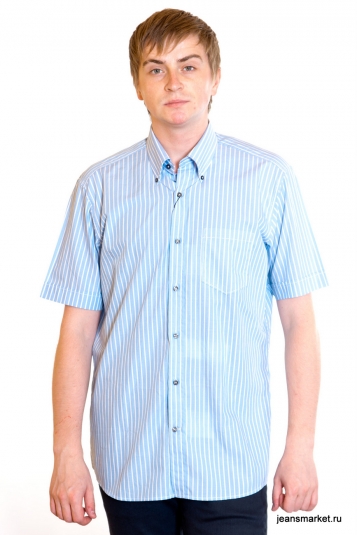 Рубашка Pierre Cardin 55305